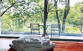 Oak Nature